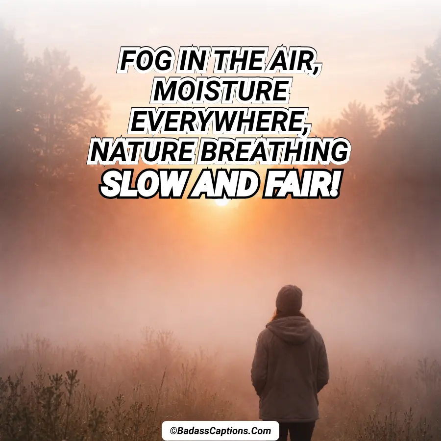 Foggy Morning Captions for Instagram